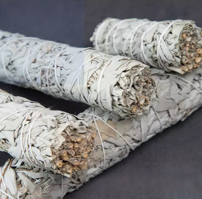 淨化消磁白鼠尾草